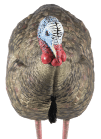 Avian X Half-Strut Jake Turkey Lifelike Collapsible Design Decoy features a multi-color design